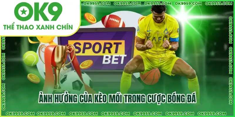 Ảnh hưởng của kèo mồi trong cược bóng đá Ảnh hưởng của kèo mồi trong cược bóng đá