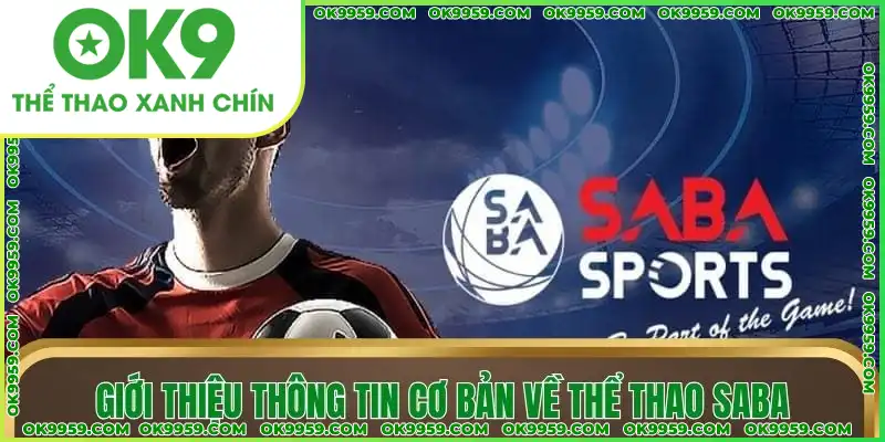 Giới thiệu thông tin cơ bản về thể thao SABA Giới thiệu thông tin cơ bản về thể thao SABA